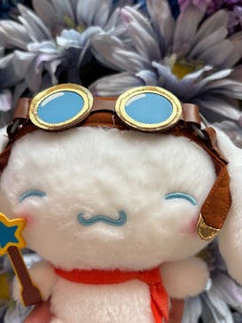 サンリオピューロランドに投稿された画像（2025/2/10）