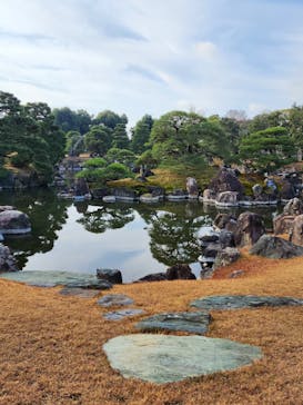 元離宮二条城に投稿された画像（2025/2/10）