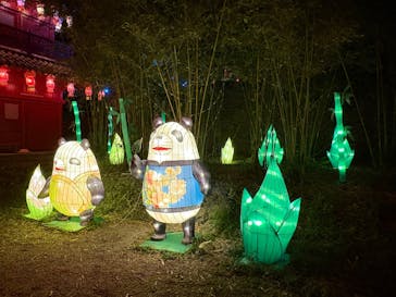 体験王国 むら咲むらに投稿された画像（2025/2/10）