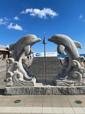 アクアワールド茨城県大洗水族館に投稿された画像（2025/2/10）