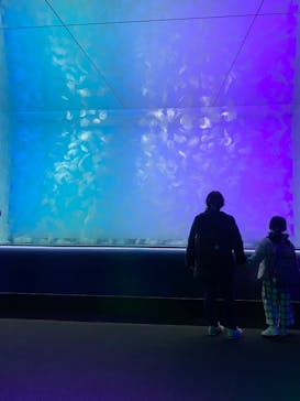 アクアワールド茨城県大洗水族館に投稿された画像（2025/2/10）