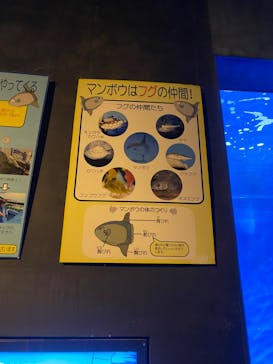 アクアワールド茨城県大洗水族館に投稿された画像（2025/2/10）