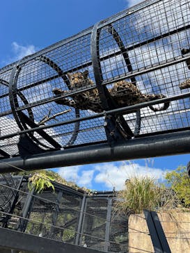 沖縄こどもの国に投稿された画像（2025/2/10）