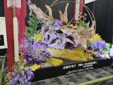 世界らん展2026-花と緑の祭典-に投稿された画像（2025/2/10）