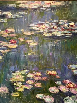 モネ 睡蓮のとき（国立西洋美術館）に投稿された画像（2025/2/10）