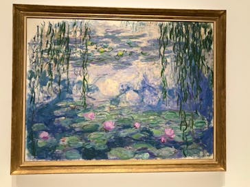 モネ 睡蓮のとき（国立西洋美術館）に投稿された画像（2025/2/10）