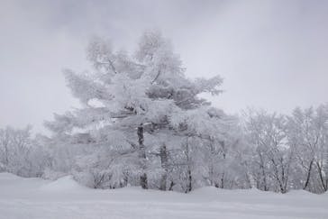 エイブル白馬五竜＆Hakuba47に投稿された画像（2025/2/10）