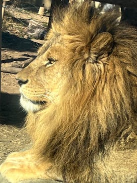 東武動物公園に投稿された画像（2025/2/11）