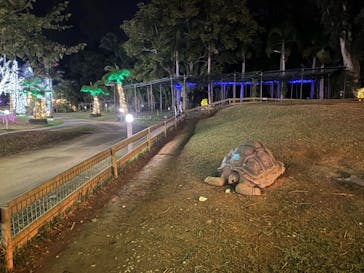 美らヤシパークオキナワ・東南植物楽園に投稿された画像（2025/2/11）