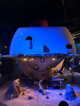 新江ノ島水族館に投稿された画像（2025/2/10）