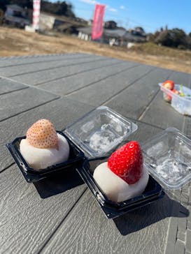 ICHIGOHOUSE.HITACHINAKAに投稿された画像（2025/2/11）