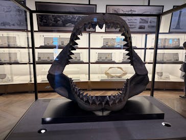 アクアワールド茨城県大洗水族館に投稿された画像（2025/2/11）