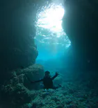 武藤潜水に投稿された画像（2025/2/11）