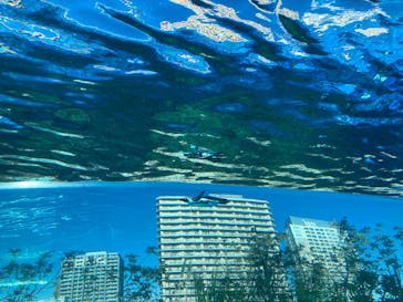 サンシャイン水族館に投稿された画像（2025/2/11）