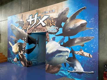アクアワールド茨城県大洗水族館に投稿された画像（2025/2/11）