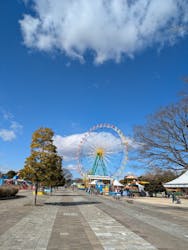 国営ひたち海浜公園プレジャーガーデンに投稿された画像（2025/2/11）
