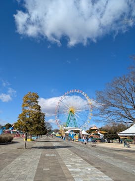 国営ひたち海浜公園プレジャーガーデンに投稿された画像（2025/2/11）