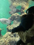 葛西臨海水族園に投稿された画像（2025/2/11）