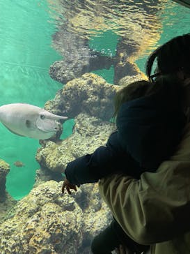 葛西臨海水族園に投稿された画像（2025/2/11）