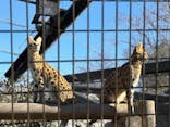 多摩動物公園に投稿された画像（2025/2/11）