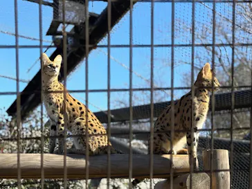 多摩動物公園に投稿された画像（2025/2/11）