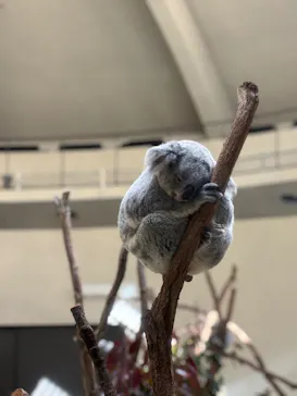 多摩動物公園に投稿された画像（2025/2/11）