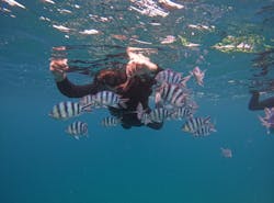 DIVE IN CHATANに投稿された画像（2025/2/11）