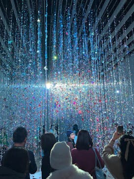 蜷川実花展 with EiM：彼岸の光、此岸の影 NINAGAWA Mika with EiM：Lights of the beyond, Shadows of this worldに投稿された画像（2025/2/11）