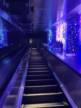 江の島1dayに投稿された画像（2025/2/11）