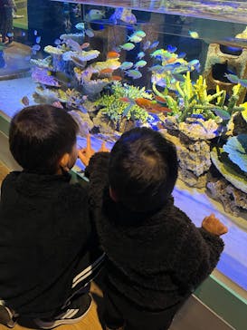 竹島水族館に投稿された画像（2025/2/11）