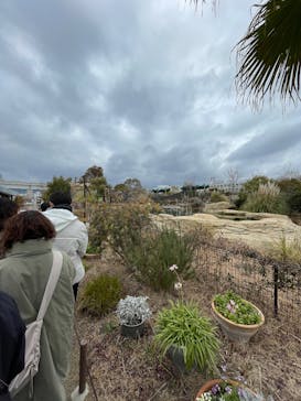 神戸どうぶつ王国に投稿された画像（2025/2/11）