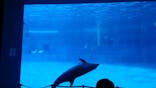 名古屋港水族館に投稿された画像（2025/2/11）