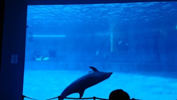 名古屋港水族館に投稿された画像（2025/2/11）