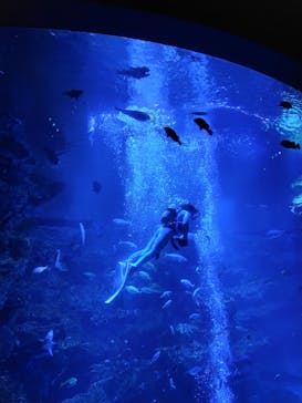 京都鉄道博物館に投稿された画像（2025/2/11）