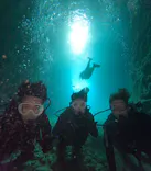 武藤潜水に投稿された画像（2025/2/11）