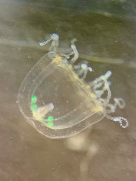 新江ノ島水族館に投稿された画像（2025/2/11）