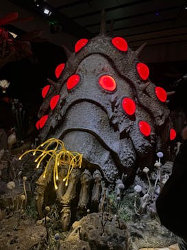 金曜ロードショーとジブリ展　三重展に投稿された画像（2025/2/11）