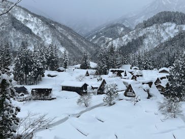 ホワイトリングに投稿された画像（2025/2/11）