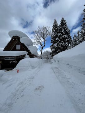 ホワイトリングに投稿された画像（2025/2/11）