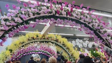 世界らん展2026-花と緑の祭典-に投稿された画像（2025/2/11）