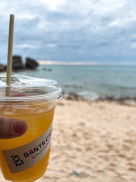 セルリアンブルーに投稿された画像（2025/2/11）