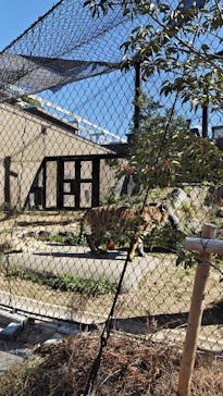 名古屋市東山動植物園に投稿された画像（2025/2/11）