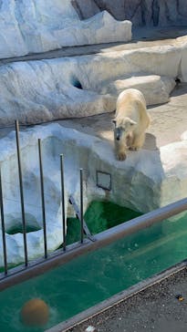 恩賜上野動物園に投稿された画像（2025/2/11）