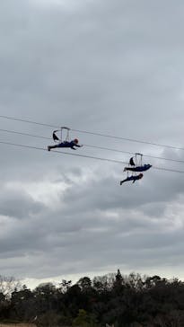 NESTA RESORT KOBE（ネスタリゾート神戸）に投稿された画像（2025/2/11）