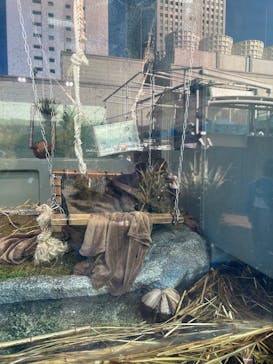 サンシャイン水族館に投稿された画像（2025/2/11）