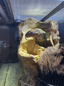 AQUARIUM × ART　atoaに投稿された画像（2025/2/11）