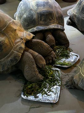 AQUARIUM × ART　atoaに投稿された画像（2025/2/11）