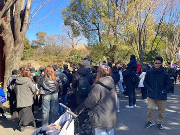 恩賜上野動物園に投稿された画像（2025/2/11）