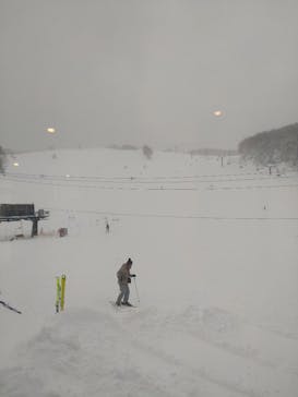 志賀高原マウンテンリゾートに投稿された画像（2025/2/11）