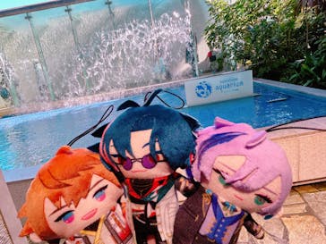 サンシャイン水族館に投稿された画像（2025/2/11）